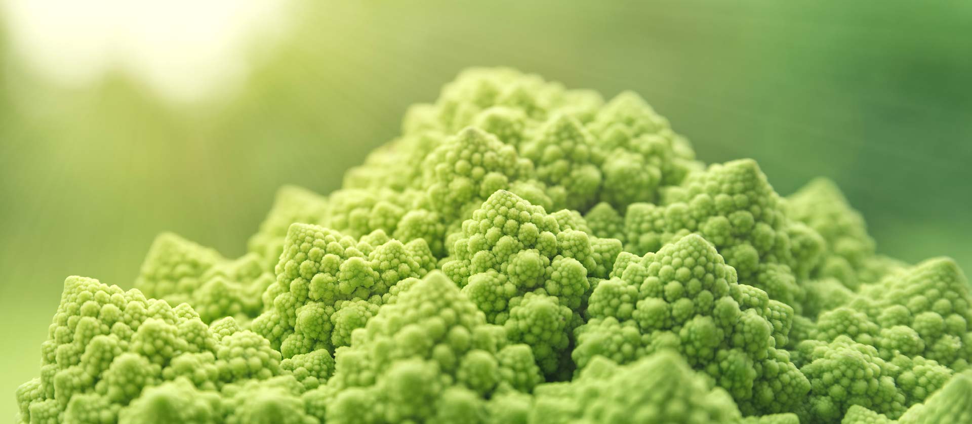 Romanesco